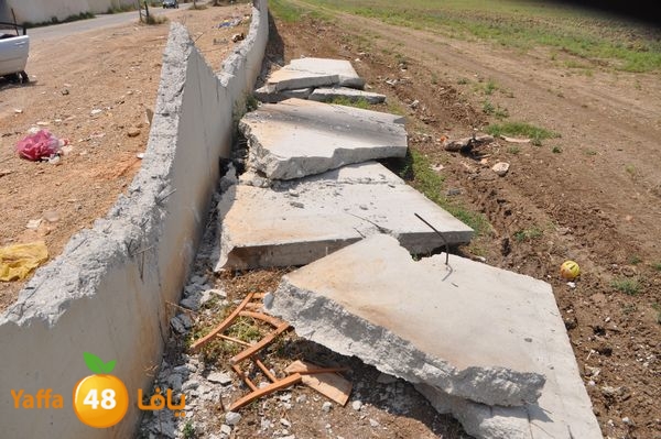 wallludshaneer509 (4).JPG